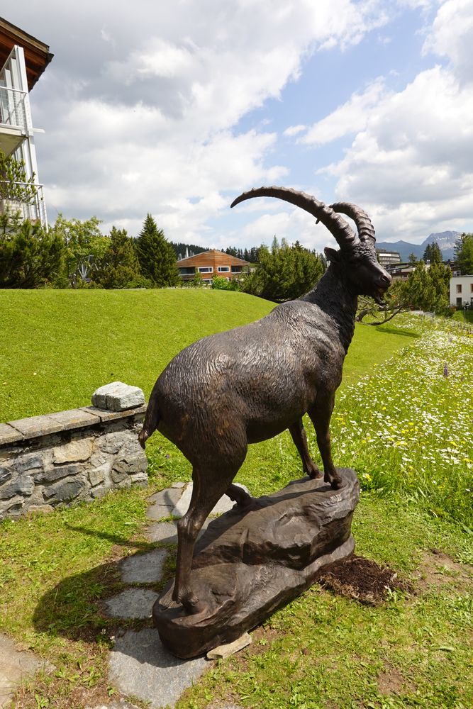 Bronzesculptur Steinbock