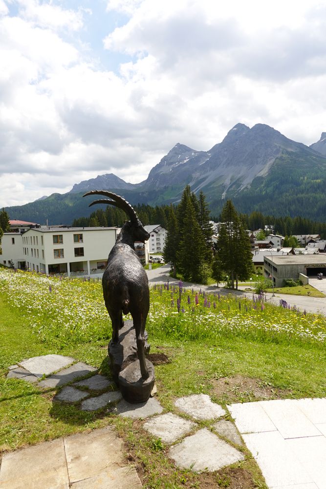 Bronzesteinbock