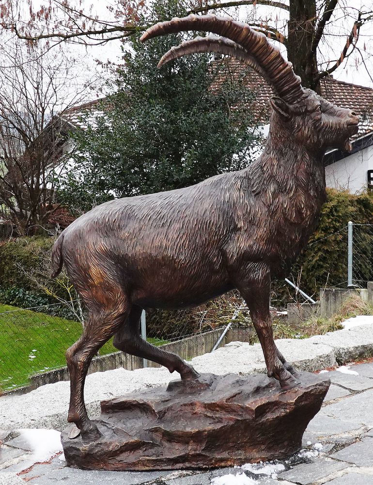 Bronze Steinbock