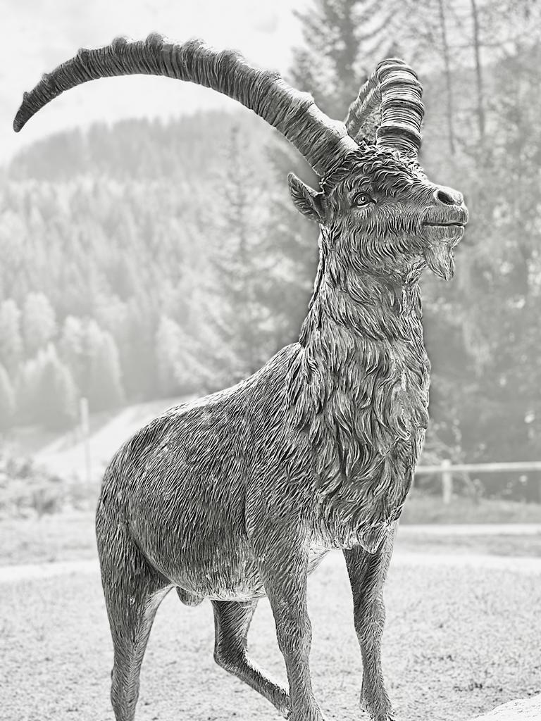 Steinbock