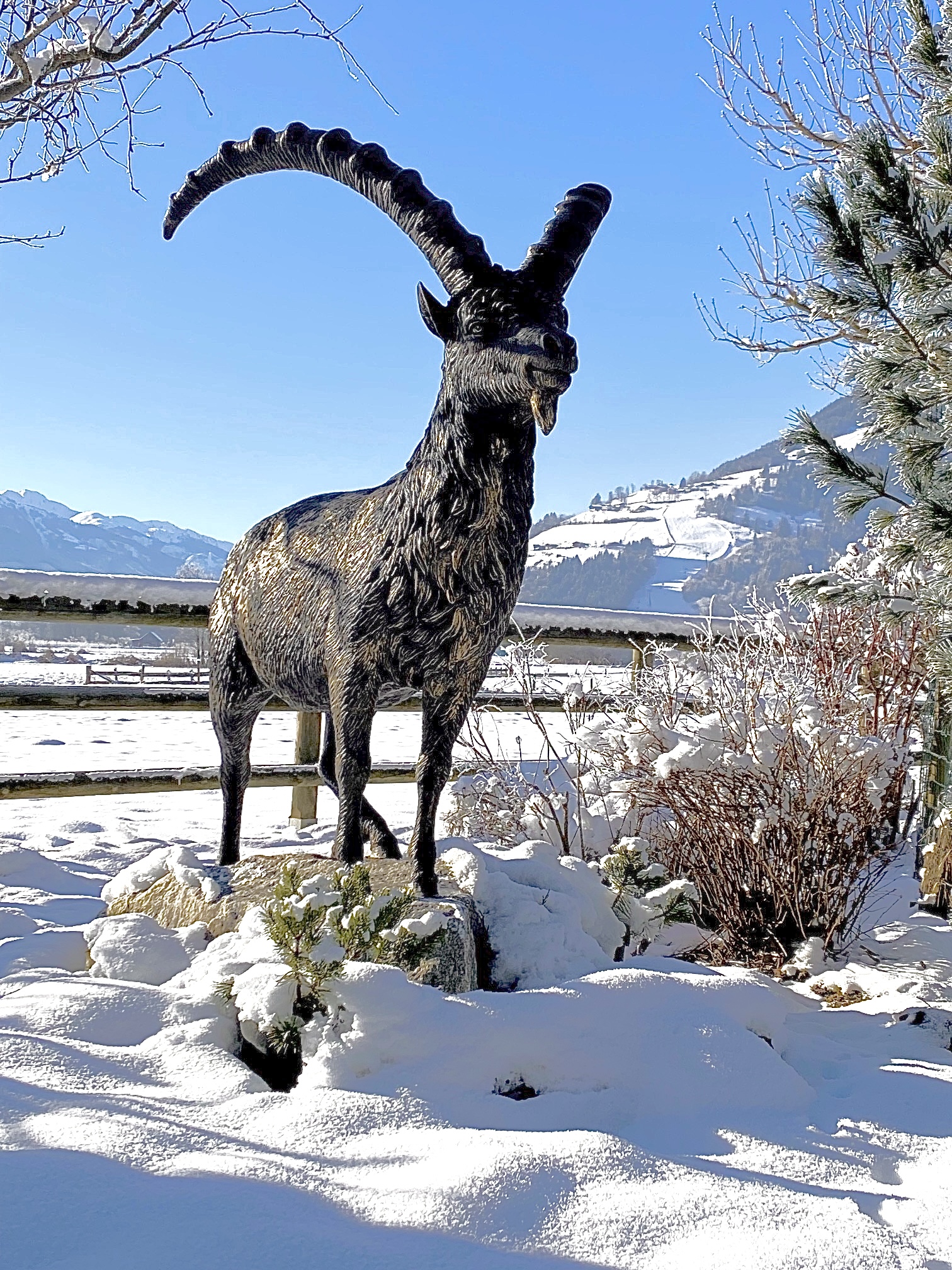 Bronzesteinbock