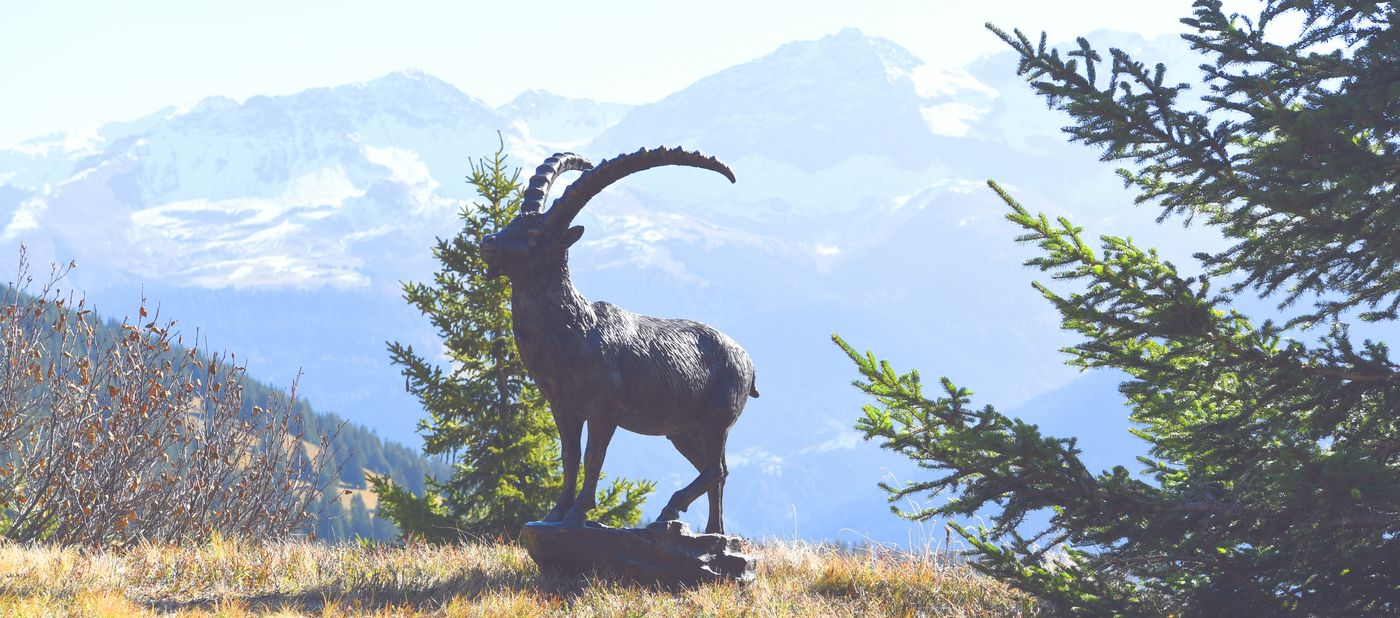 Bronzesteinbock